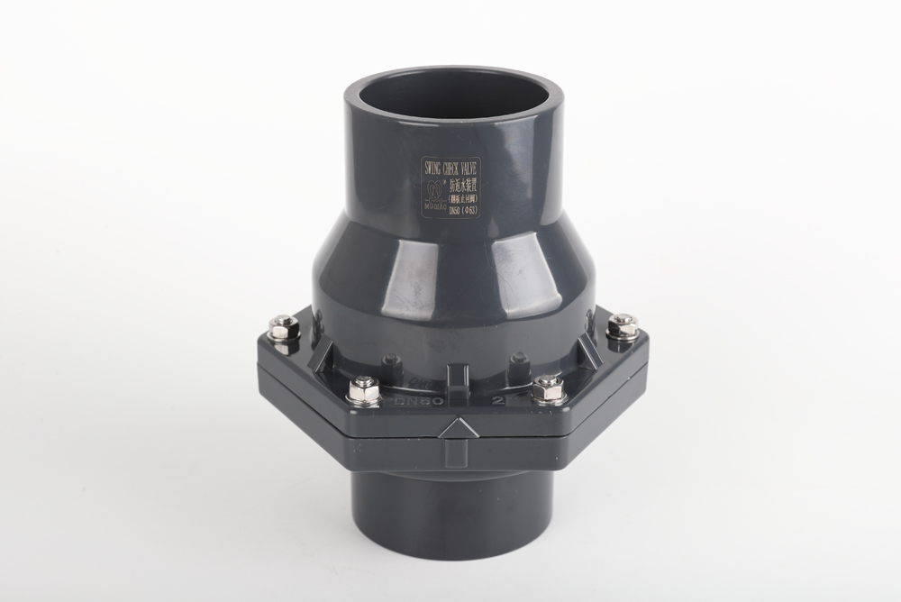 龙港翻板式止回阀