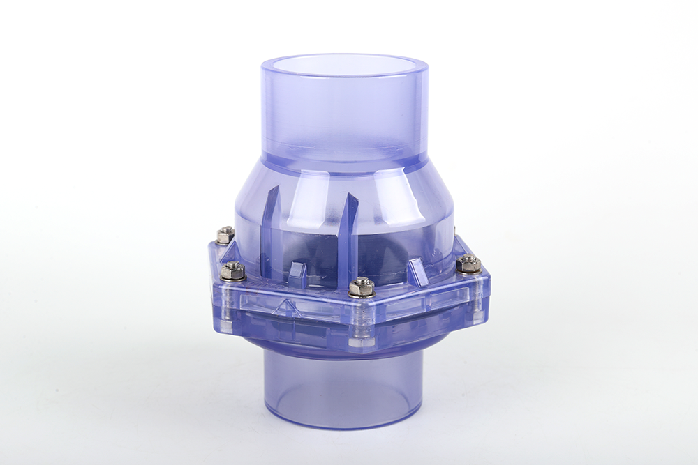 龙港透明翻板式止回阀